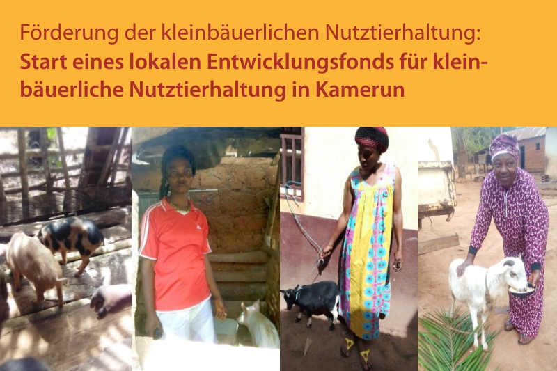 Pilot-Projekt zur Förderung der kleinbäuerlichen Nutztierhaltung in Kamerun